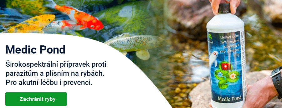 Medic-Pond-promo-uvod